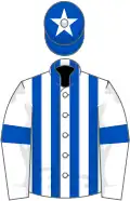 White and royal blue stripes, royal blue armlet, royal blue cap, white star