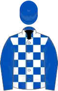 Royal blue and white check, royal blue sleeves and cap