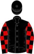 Black, Black and Red check sleeves