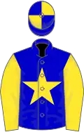 Blue, yellow start and sleeves, quartered cap