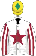 White, maroon star, striped sleeves, yellow cap, emerald green diamond