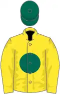 Yellow, dark green disc, dark green cap