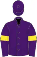 Purple, yellow armlets