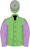 Light green, mauve sleeves, hooped cap