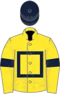 Yellow, dark blue hollow box, armlets and cap