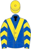 ROYAL BLUE, yellow chevron, yellow chevrons on sleeves, yellow cap