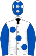 White, large royal blue spots and sleeves, royal blue cap, white spots