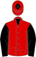 Red, black sleeves and diamond on cap