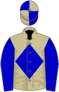 Beige, Blue diamond, Blue sleeves, Blue and Beige quartered cap