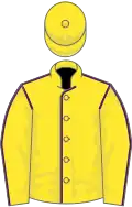 Yellow, purple seams, yellow cap