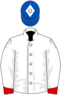 White, red cuffs, royal blue cap, white diamond