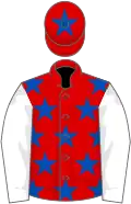 Red, royal blue stars, white sleeves, red cap, royal blue star