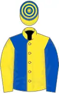 Yellow and royal blue halved, sleeves reversed, hooped cap