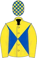 Yellow and royal blue diabolo, yellow sleeves, check cap