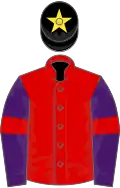 Red, purple sleeves, red armlets, black cap, yellow star