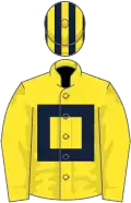 Yellow, dark blue hollow box, dark blue and yellow striped cap