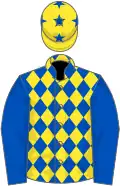 Royal blue and yellow diamonds, royal blue sleeves, yellow cap, royal blue stars