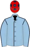 Light blue, dark blue seams, red cap, dark blue spots