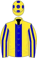 Yellow, blue stripe, striped sleeves, spots on cap