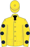 Dark blue, yellow epaulets, yellow sleeves, dark blue armlets, dark blue and yellow quartered cap