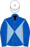 ROYAL BLUE and LIGHT BLUE DIABOLO, royal blue sleeves, white cap