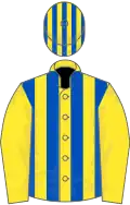 Yellow and royal blue stripes, yellow sleeves, striped cap