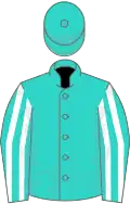 Turquoise, white stiped sleeves