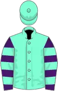 Aquamarine, purple and aquamarine hooped sleeves