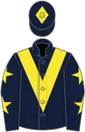 Dark blue, yellow chevron, stars on sleeves, diamond on cap