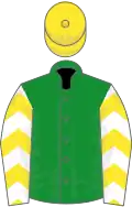 Green, white sleeves, yellow chevrons, yellow cap