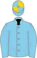 Sky blue, gold quartered cap