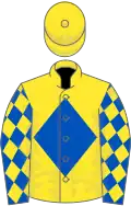 Yellow, royal blue diamond, royal blue sleeves, yellow diamonds