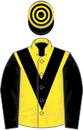 Yellow, black chevron and sleeves, black and yellow hooped cap