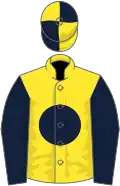 Yellow, dark blue disc and sleeves, quartered cap