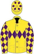 YELLOW, purple triple diamond, purple diamonds on sleeves and cap