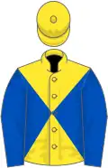 Yellow and royal blue diabolo, royal blue sleeves, yellow cap