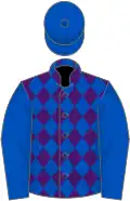 Purple and Royal Blue diamonds, Royal Blue sleeves and cap
