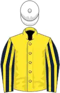 Yellow, dark blue and yellow striped sleeves, white cap