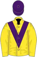 Yellow, purple chevron and cap