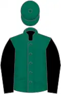 Dark green, black halved sleeves, green cap