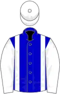 Blue, white braces, sleeves and cap