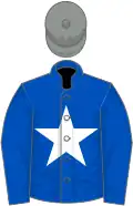 Royal blue, white star, grey cap