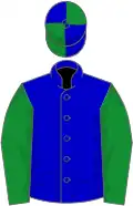 Blue, green sleeves, quartered cap