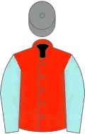 Scarlet, pale blue sleeves, grey cap