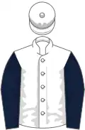 White, dark blue sleeves, white cap