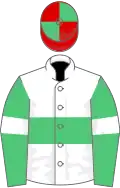 White, emerald green hoop, emerald green sleeves, white armlets, red and emerald green quartered cap
