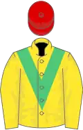 Yellow, green chevron, yellow sleeves, red cap