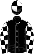 Black, white seams, checked sleeves, quartered cap