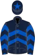Dark blue, royal blue chevrons, dark blue cap, royal blue star