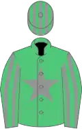 Emerald green, grey star, striped sleeves and cap